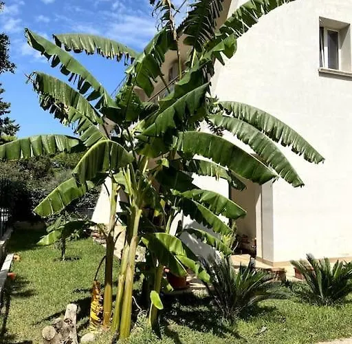Appartement Casa Woow